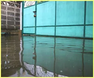 North Palm Beach Restoration Expert North Palm Beach, FL 561-367-5132 North Palm Beach Restoration Expert North Palm Beach, FL 561-367-5132 - flood-side