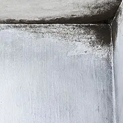 North Palm Beach Restoration Expert North Palm Beach, FL 561-367-5132 - service-image-2