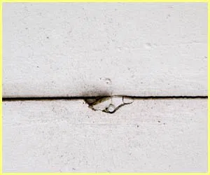 North Palm Beach Restoration Expert North Palm Beach, FL 561-367-5132 - water-damage-side